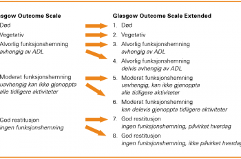 Figur 1. Sammenhengen melllom scoring i Glasgow Outcome Scale og Glasgow Outcome Scale Extended. (ADL = daglige aktiviteler)