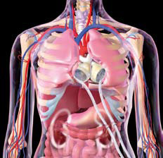 Bilde 6: Total Artificial Heart (TAH)