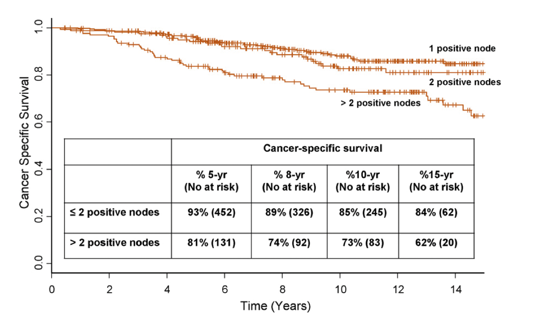 Figur 1: Briganti et al. Two positive nodes represent a significant cut-off value for cancer specific survival in patients with node positive prostate cancer. European Urology 2009.
